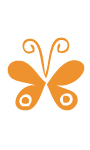 Three in One Concepts<sup>©</sup>